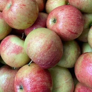 Mele Morgan Imperatore