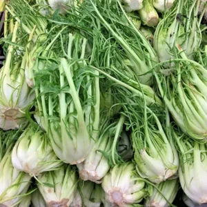 Puntarelle romane al kg