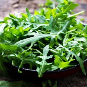Rucola