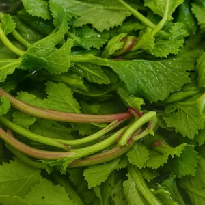 Verdura selvatica al kg