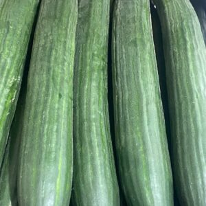 Cetriolo Cucummaro al pezzo