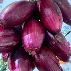Cipolla rossa tropeana al kg