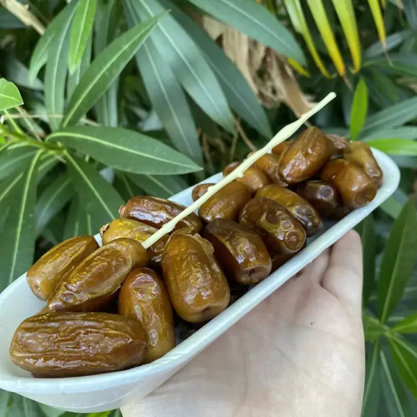 Datteri