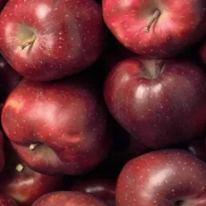 Mela Stark Deliziosa Val di Non