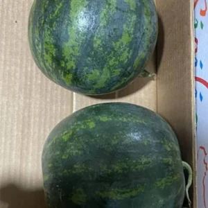 Mini anguria rossa 4 kg
