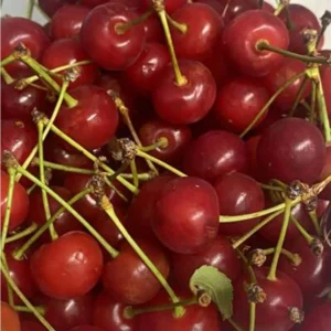 Ciliegia rossa al kg