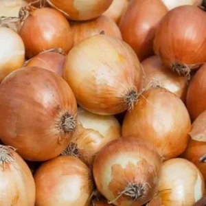 Cipolla dorata