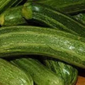 Zucchina Genovese al kg