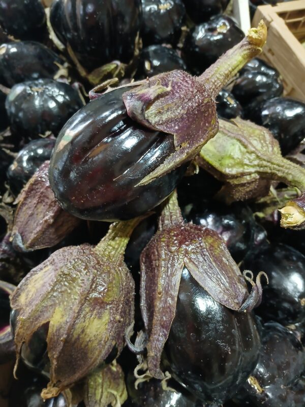 Melanzanina nera