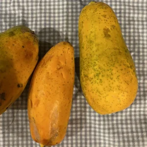 Papaya siciliana