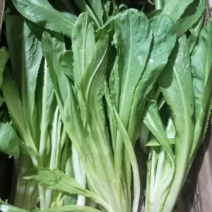 Scarola mazzetto locale