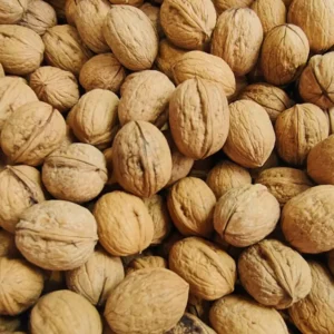 Noci in Guscio gr.500