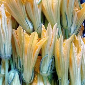 Fiore di Zucca gr.60
