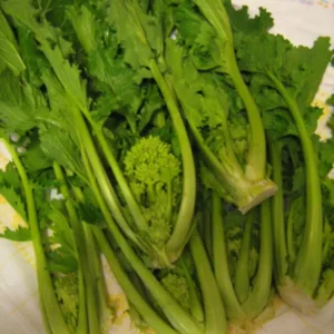 Cime di rapa