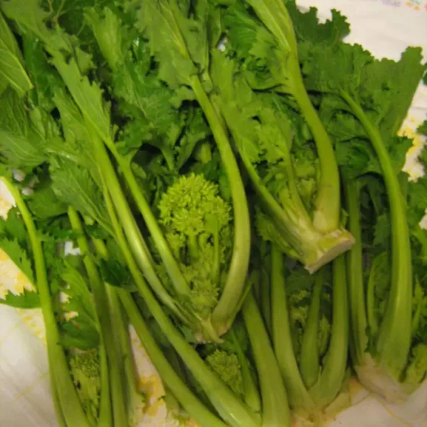 Cime di rapa