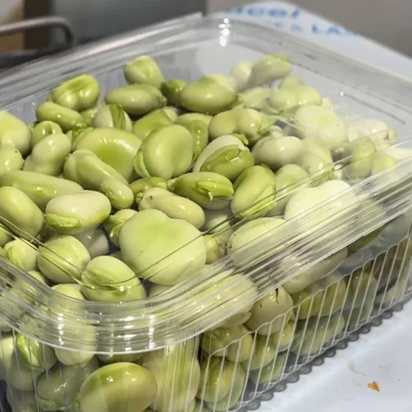 Fave fresche siciliane vaschetta