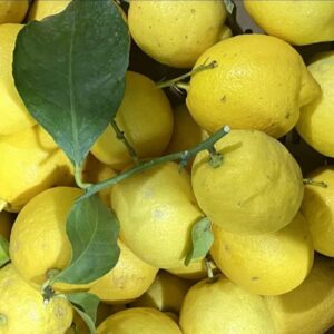 Limone locale (buccia edibile) al kg