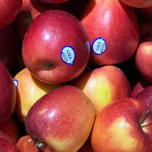 Mela royal gala al kg