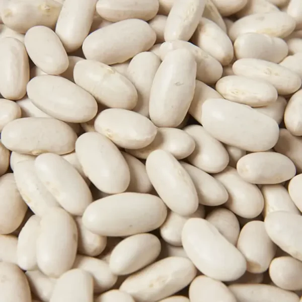 Fagioli cannellini