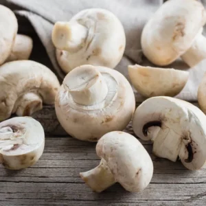 Funghi Champignon
