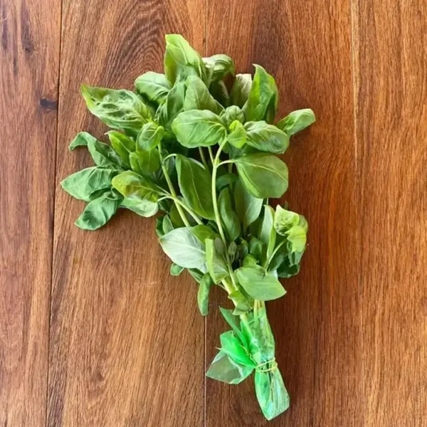 Basilico