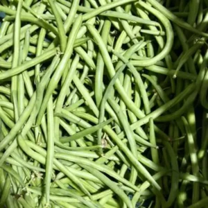Fagiolini