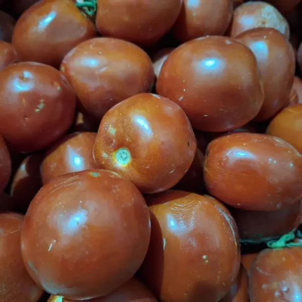 Pomodoro Rosso Tondo per salsa