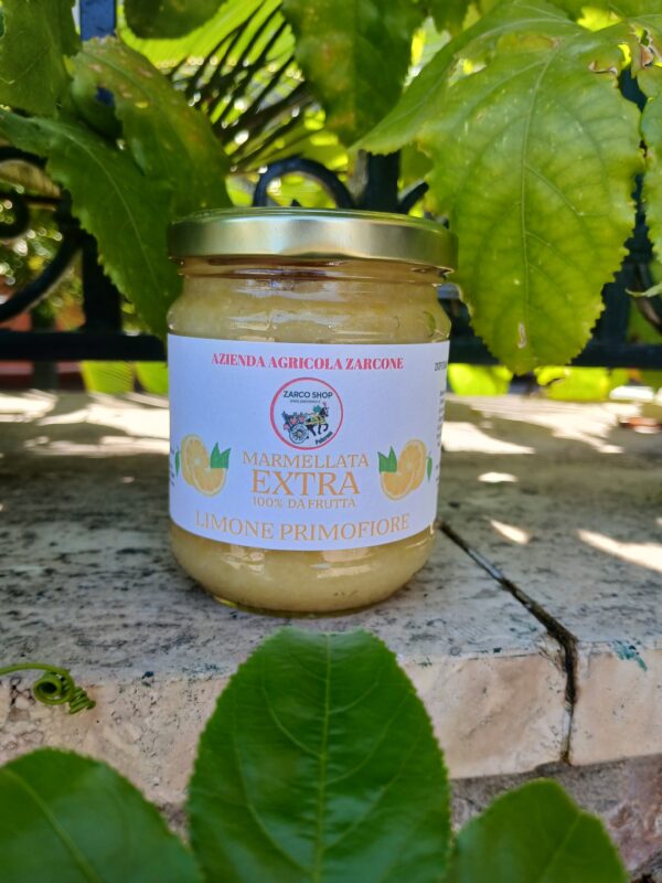 Marmellata di Limoni Primofiore 100 gr.
