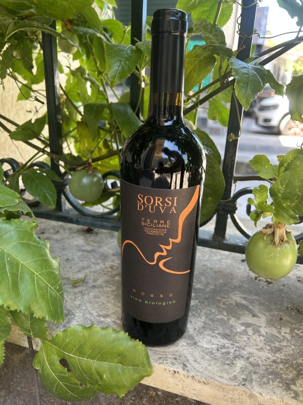 Vino rosso biologico 75 cl.