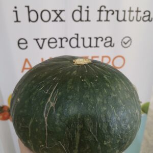 Zucca delica al pz