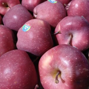 Mela red delicious
