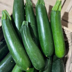 Zucchina Genovese al kg