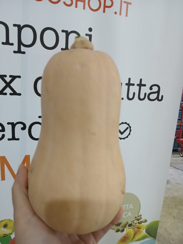 Zucca butternut al kg