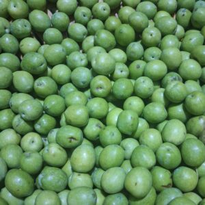 Olive da schiacciare varieta' Nocellara del Belice al kg