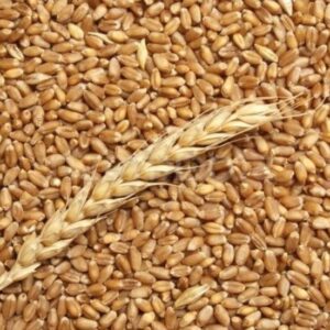 Bio Grano Maiorca 500gr