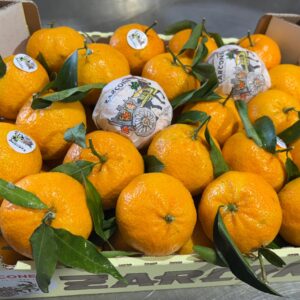Cassetta regalo di mandarino avana 6kg circa