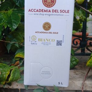 Vino Bianco Grillo LT.5 in cartone
