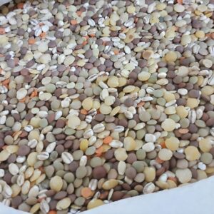 Zuppa Bio di Orzo e Lenticchie gr.500