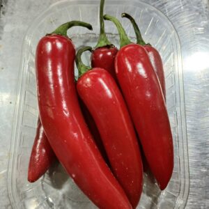 Peperoncino piccante gr.100