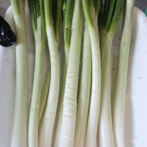 Scalogno pulito 10 pezzi