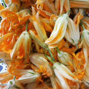 Fiore di zucca gr.500