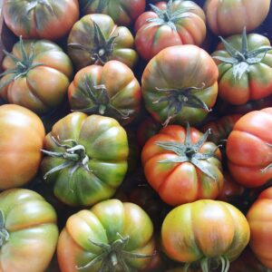 Pomodoro marmante al kg