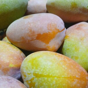 Mango palermitano gr.500