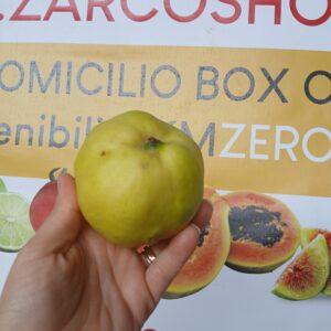 Mela cotogna al kg